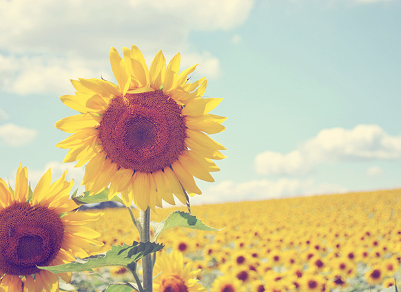 To Perform Best in Life, Remember These 6 Ziglar Truths