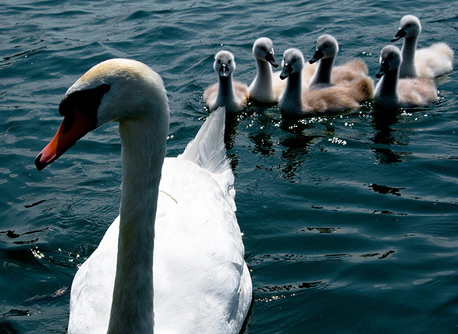 It’s a Family Business