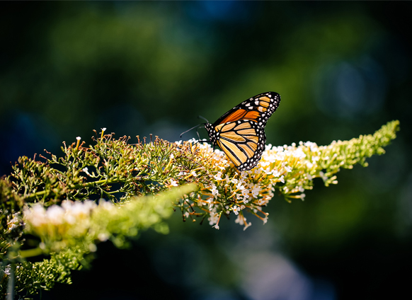 9 Ways to Deal with Change