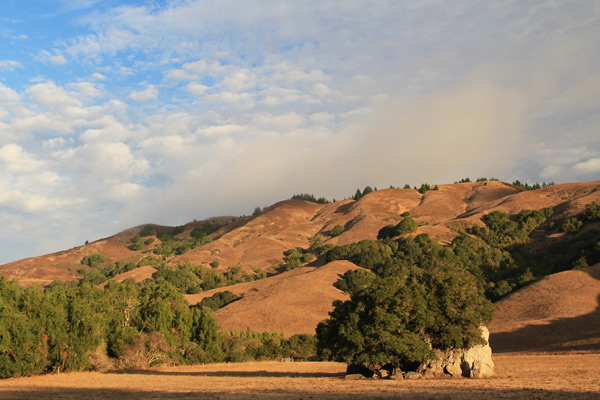 Spirit Rock Meditation Center