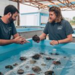 Coral Vita founders standing over a small pool holding a coral reef