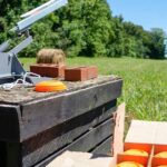 skeet thrower and box of targets on a grassy field