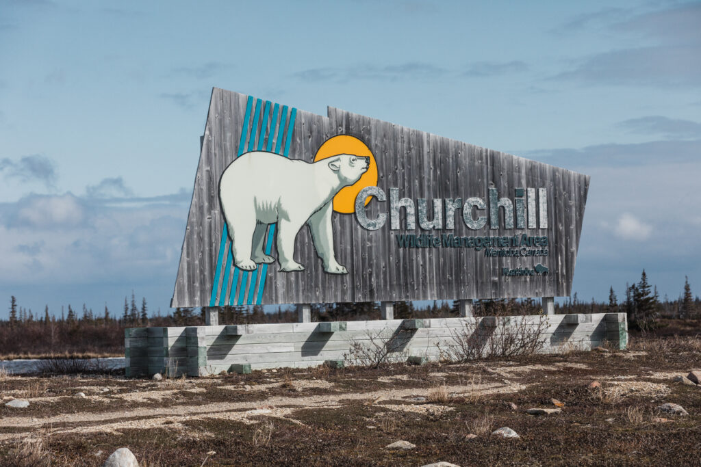 Large worn wooden sign with an image of a polar bear announcing the Churchill Wildlife Management Area