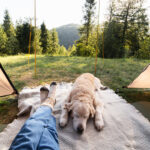 person sitting in tent with their dog in the outdoors