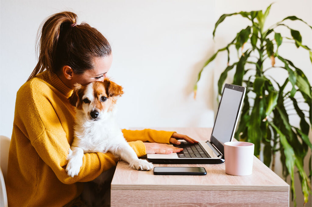 young woman working on laptop with small dog at work on lap