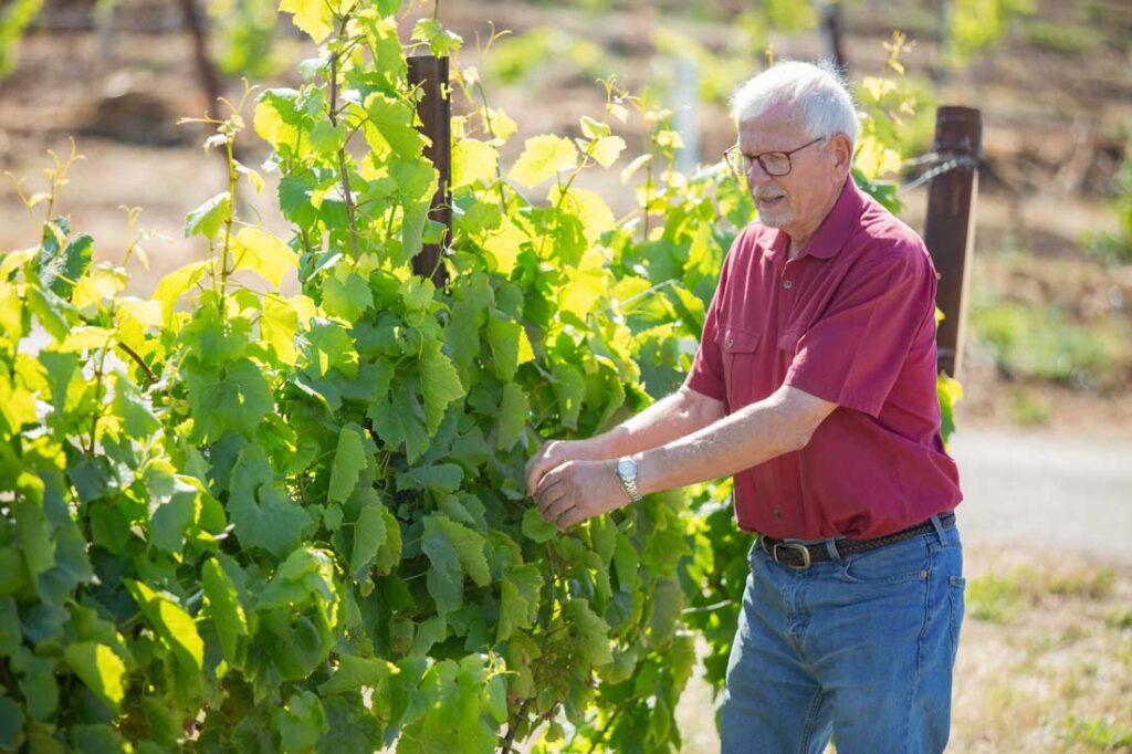 Jean-Pierre Wolff at his vineyard exemplifying midlife career change options