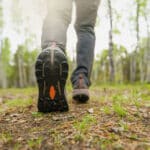 A man takes a walk in the forest in springtime