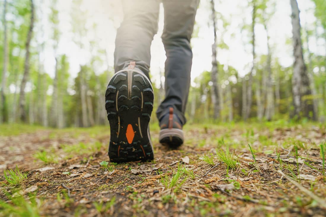 A man takes a walk in the forest in springtime