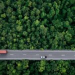 cars and a truck on a highway that is surrounded by trees