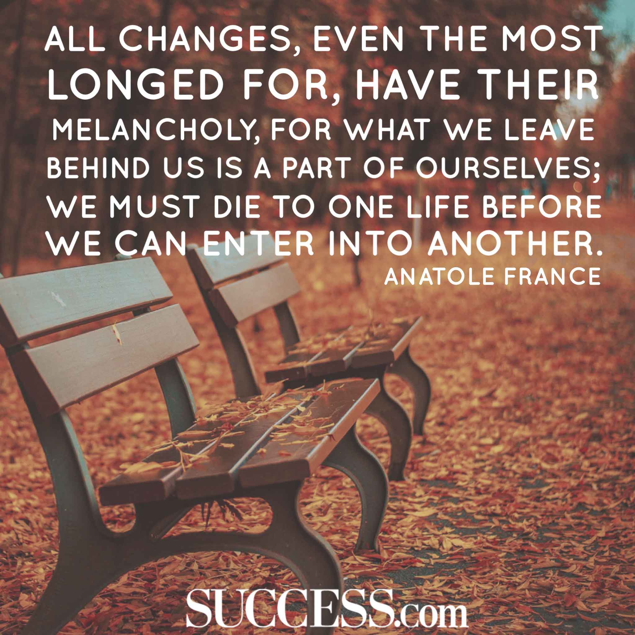 Insightful Quotes About Embracing Change SUCCESS