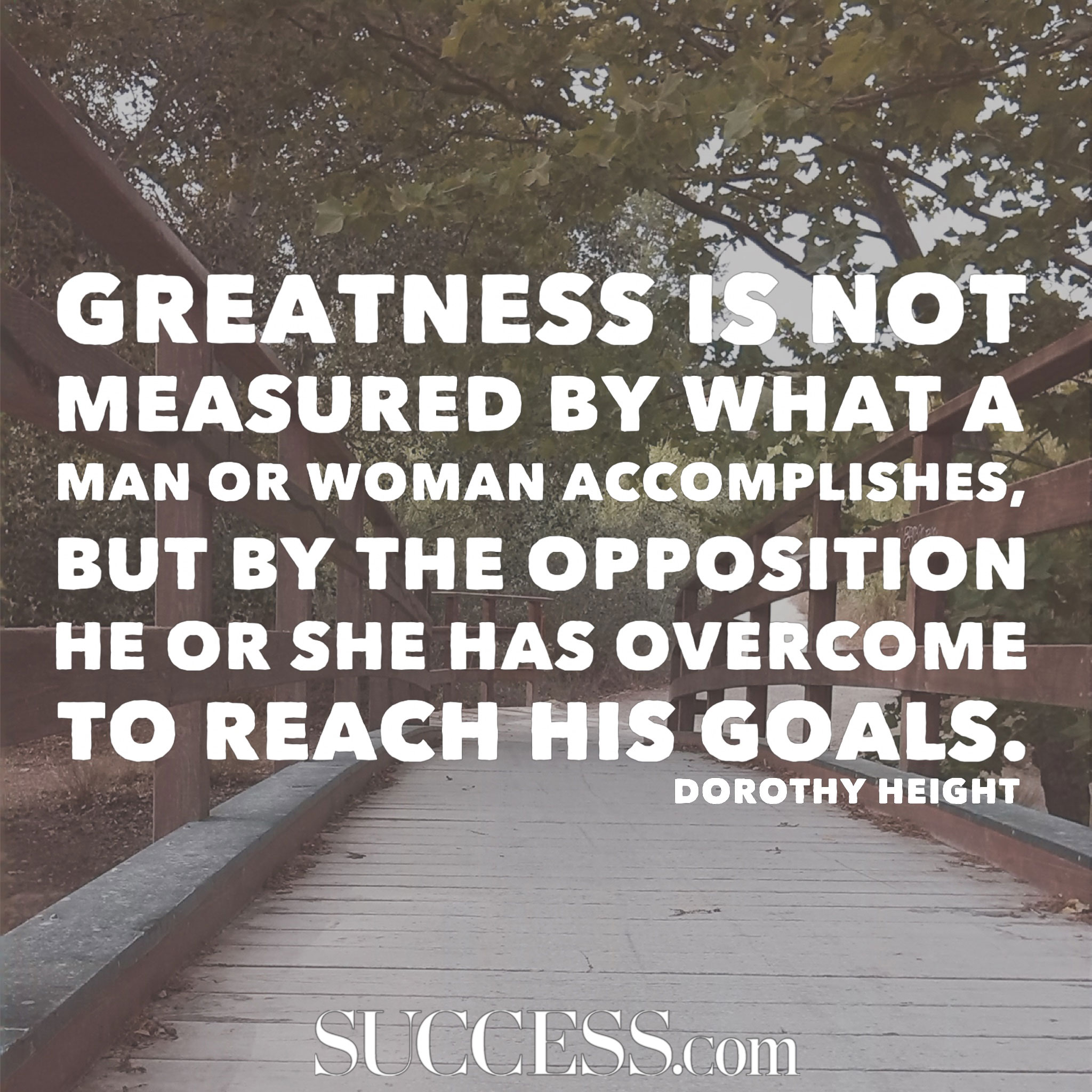 19 Powerful Quotes To Inspire Greatness SUCCESS