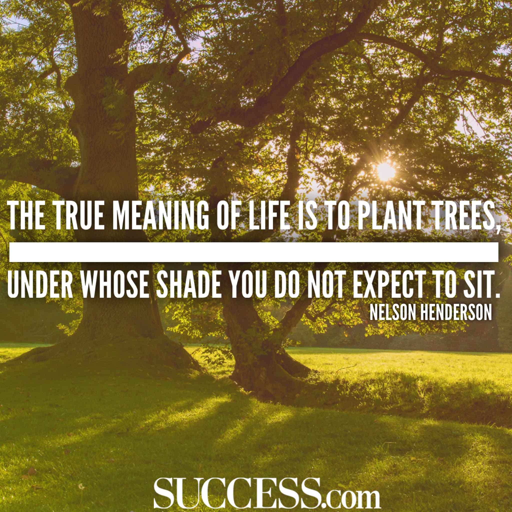 The Meaning Of Life In 15 Wise Quotes SUCCESS